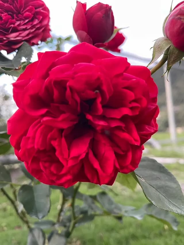 阮兜小丘-立夏301-5