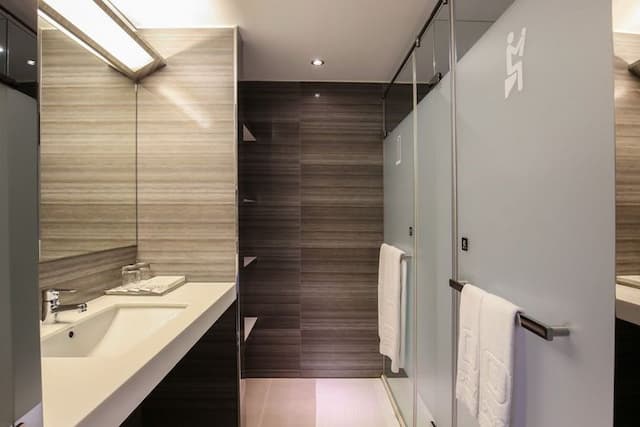 Dandy Hotel-Elite King-3