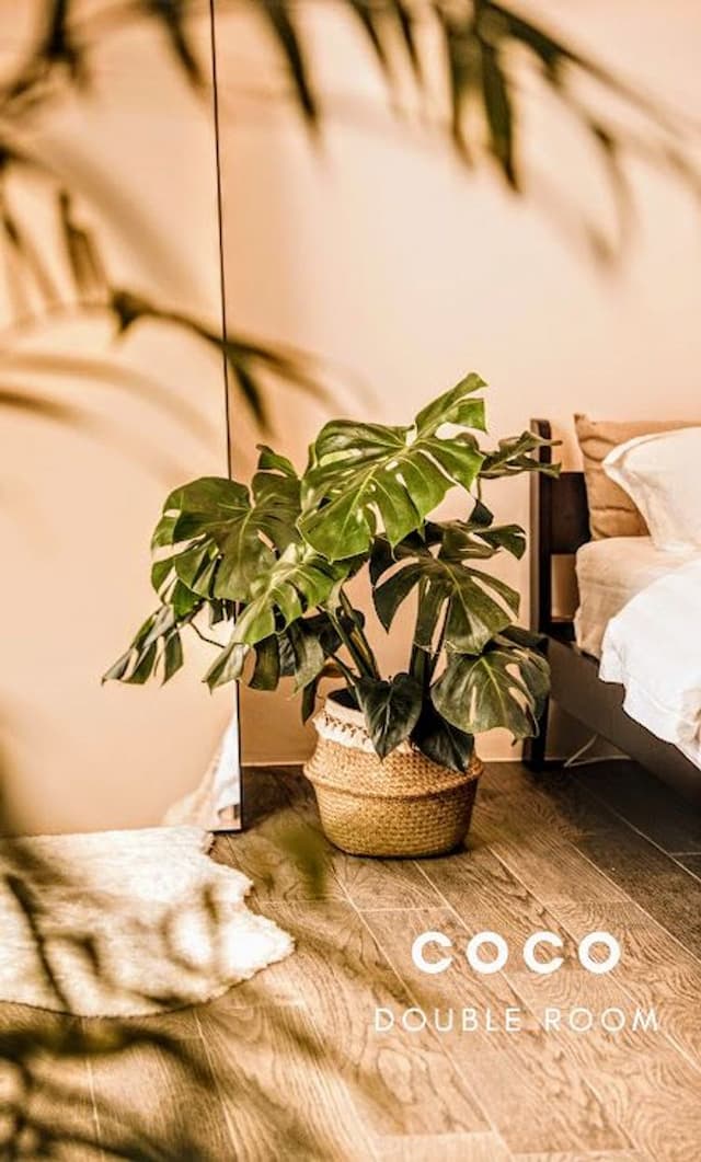 瘋狂椰子衝浪小屋｜近海民宿-鄉村雙人房-3