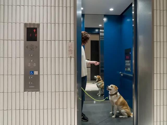 【エレベーター】ペットと同乗可能なエレベーターがございます