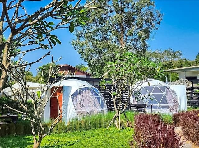 考艾山豪華露營 (Glamping Hill Khaoyai)-【懶人露營】園景園頂帳 (含早餐) 不可退訂 (Dome Garden (Room with breakfast)) No refund-8