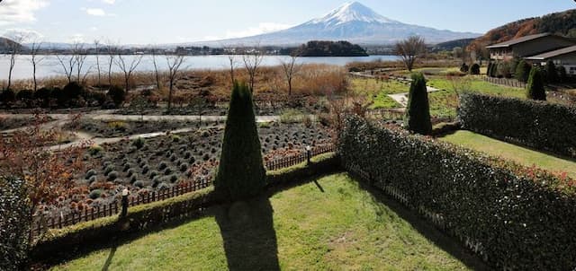 河口湖城市渡假村｜近河口湖音樂與森之美術館/方便至河口淺間神社-本館: 洋甘菊【私人庭園+湖景+山景】-3