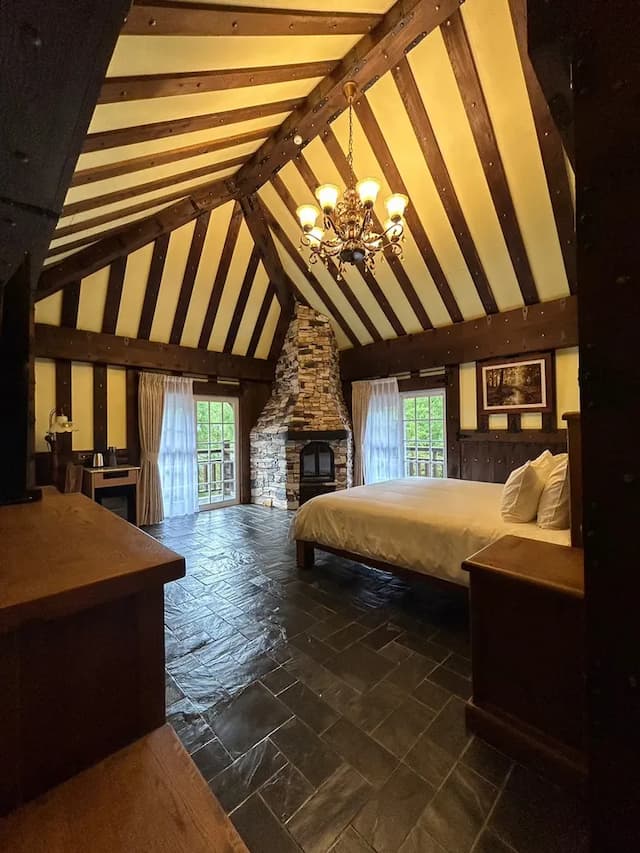 Senboard Manor-Fireplace Double Room-3