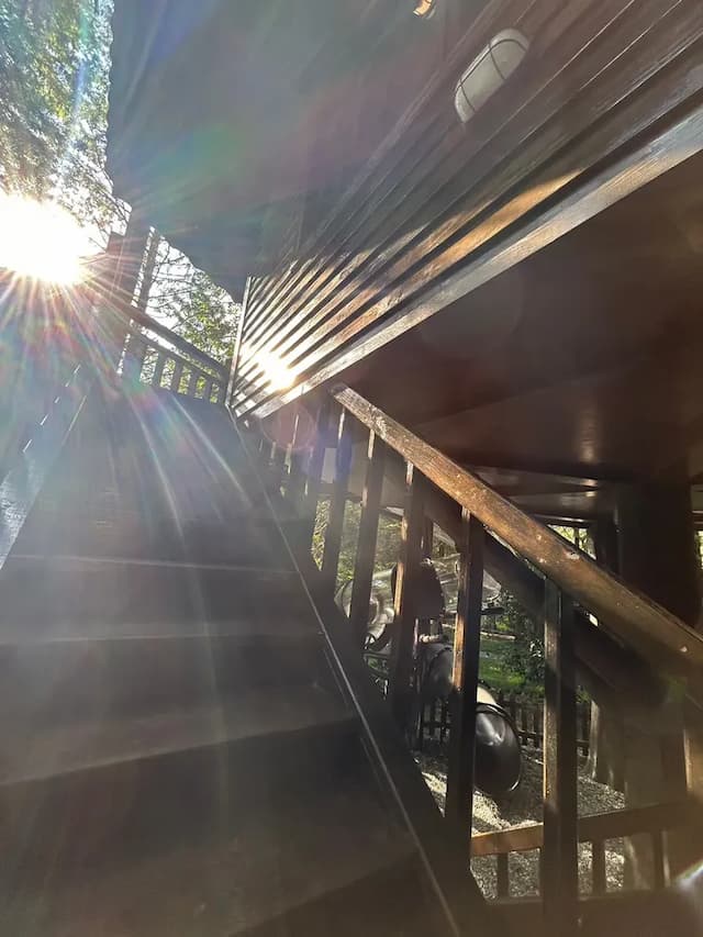 Senboard Manor-tree house (2F Big slide)-10