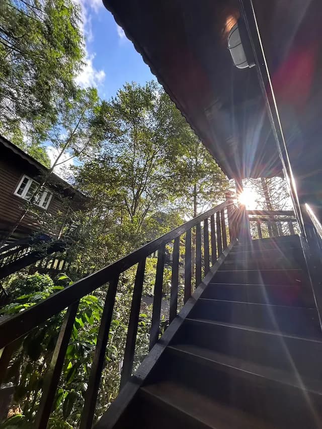 Senboard Manor-tree house (Child slide)-12