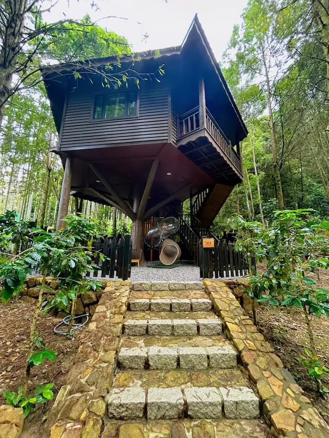 Senboard Manor-tree house (Child slide)-15