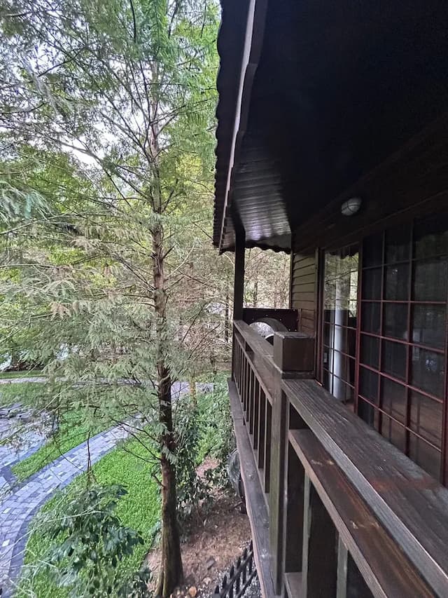 Senboard Manor-tree house (Child slide)-13