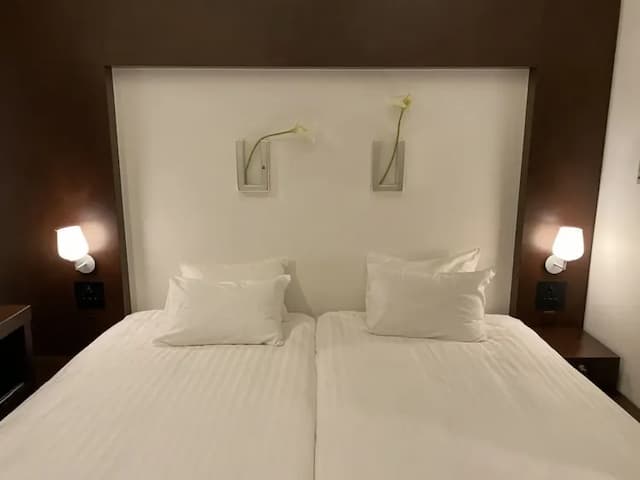 富良野NATULUX飯店-3｜富良野站步行1分-休闲双床房 (禁烟)-1