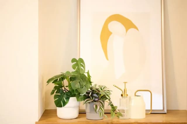 Residence Hotel KABUTO-デラックス　ツインルーム-2