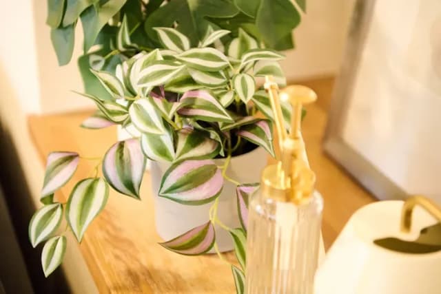 Residence Hotel KABUTO-Deluxe Twin Room-6