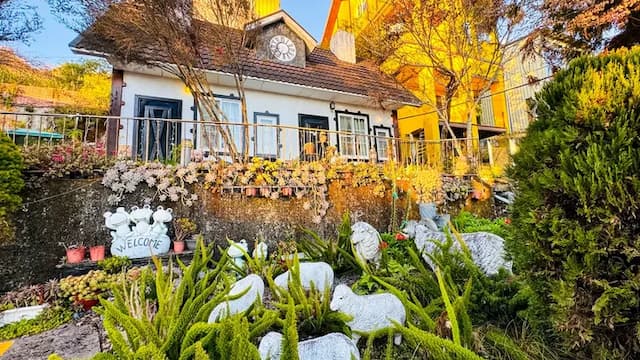 清境31民宿-Landscape Quadruple chalet-10