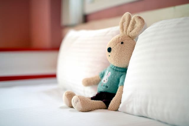 紅色雙人房 | 房間一隅