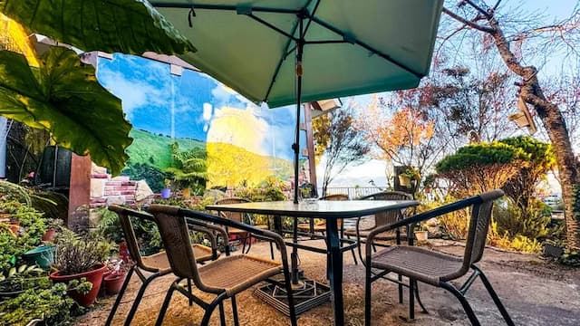 清境31民宿-Star landscape 4-room-4