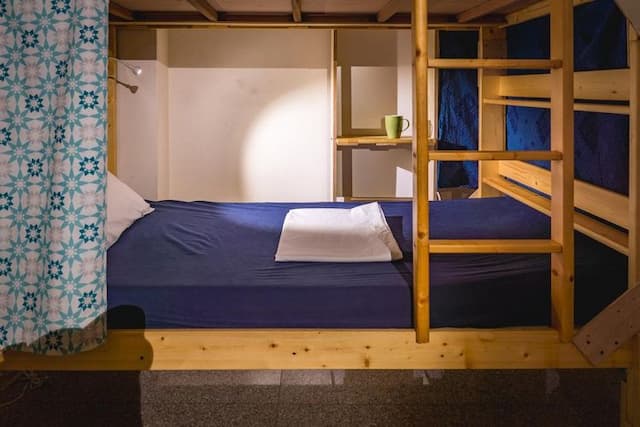 Fish trip-8-bed mixed dormitory room-4