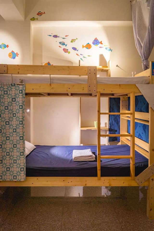 Fish trip-8-bed mixed dormitory room-6