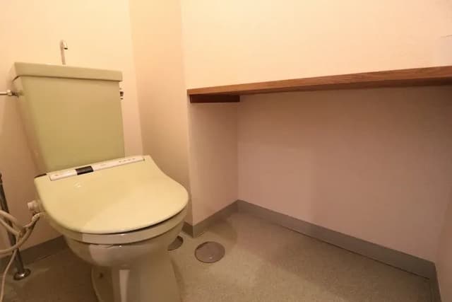 Shirakawa Onsen Shirakawaso-Japanese style room-5