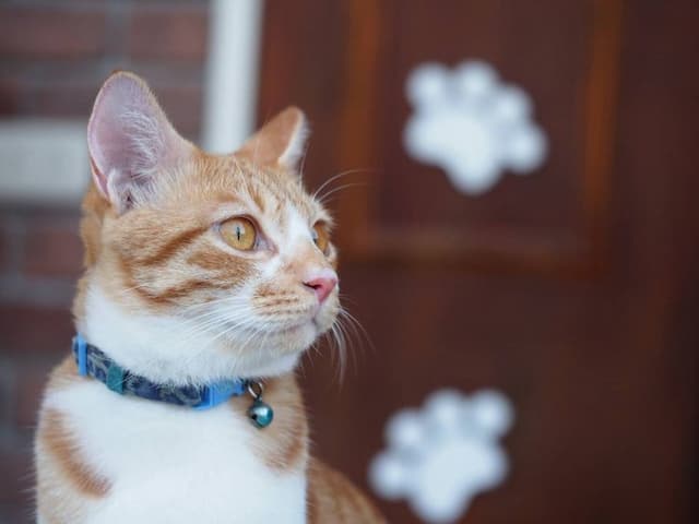 Midori Mini Hostel-401 Business Triple Room-4