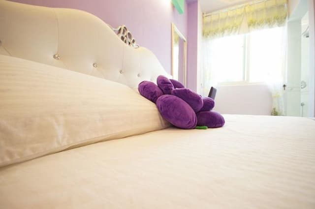 Hualien Manlu B&B-Dream romantic double room-3