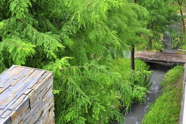 南投休閒農場 一峸一宿-山景六人房(301)-10