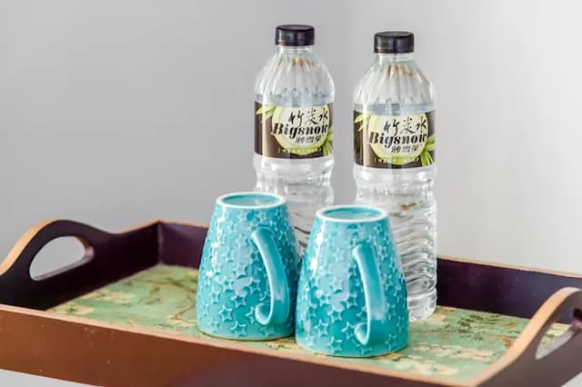 Wilderness1138 Huelien B&B.-Double Room with Mountain View and Balcony-8