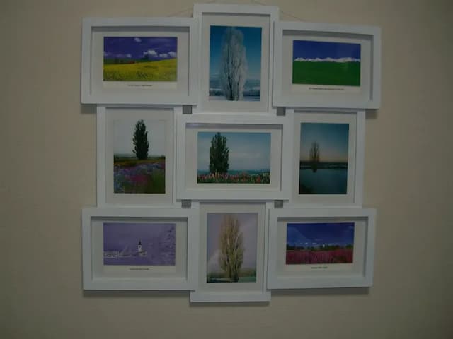 美瑛の四季をご覧ください