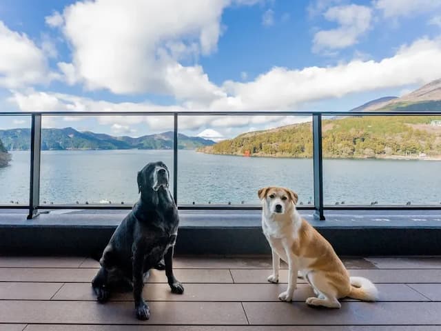 【ペット可/501テラス】湖畔を背にペットと優雅なひとときを