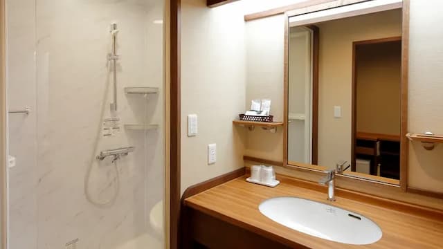 Western-style room with shower room and washbasin