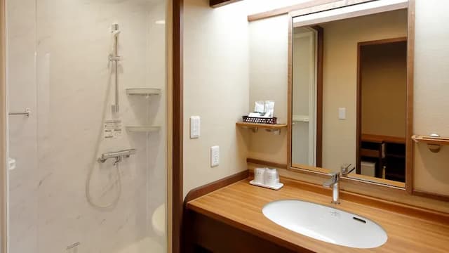 悠彩之宿 望海｜方便至海地獄/高崎山動物園/別府纜車-和洋混合雙床房:專屬衛浴【不挑房】-4