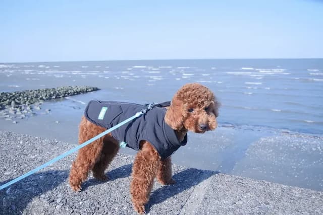 +FINO RESORT VILLA-Superior Suite-10