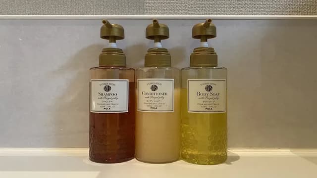 天然溫泉青葉之湯 Dormy Inn 仙台別館｜仙台站步行6分-標準雙人房【不挑房】-4