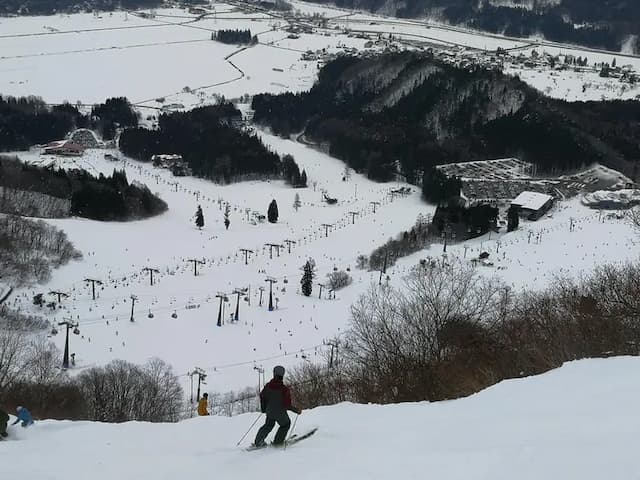 スキーを満喫ください