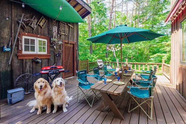 同伴できるのは、犬のみとさせていただきます。 ペット1匹につき(二泊まで)3,000円頂戴致します。2匹まで同伴可能。