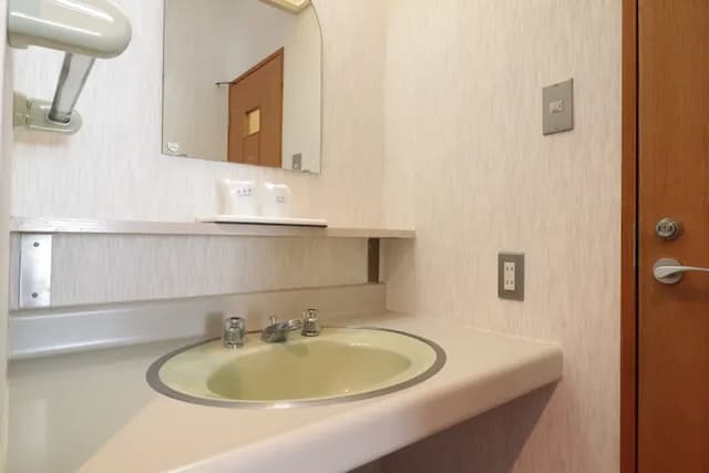 Shirakawa Onsen Shirakawaso-Japanese-style room (April/May)-5