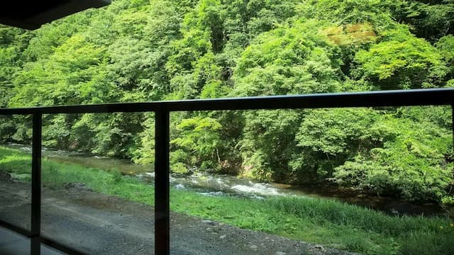 View from the new building river side