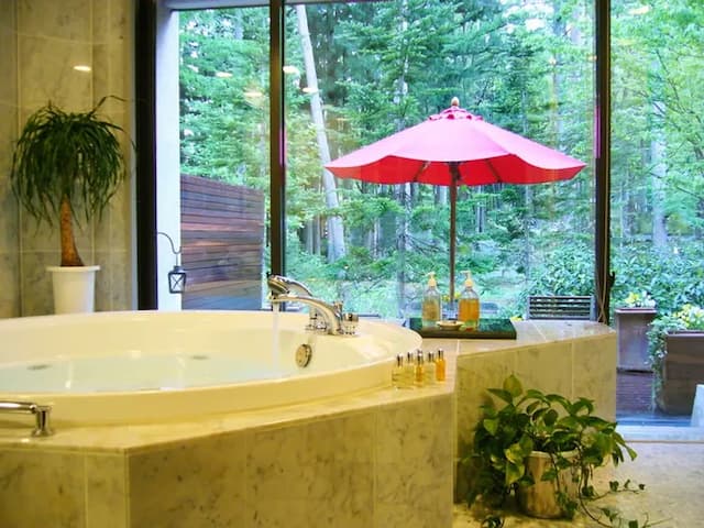 Hakuba Resort Hotel La Neige Higashikan-Deluxe Garden View Corner-5