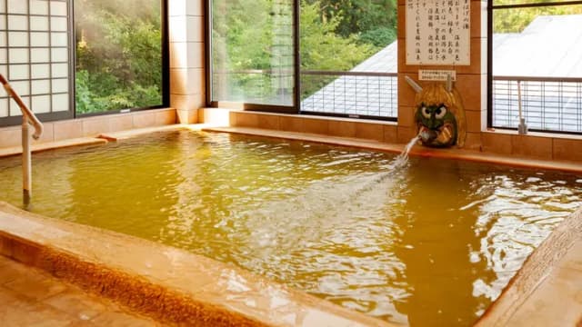 男鹿温泉郷　元湯雄山閣-8畳タイプ-5