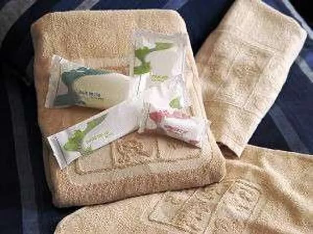 田町武家屋敷飯店｜角館站步行15分-雙床房【不挑房】-5