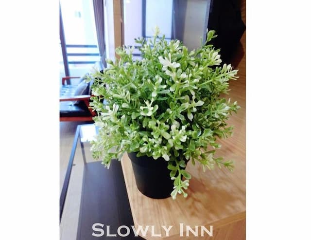 墾丁慢遊民宿-陽台三人房-8