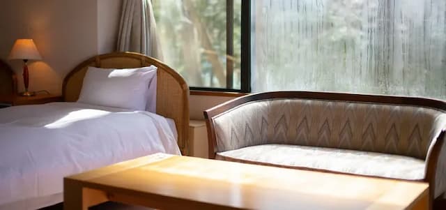 The Hotel Fujiyama 山中湖｜近平野之浜/提供接駁車-本館 豪華雙床房【不挑房】-2