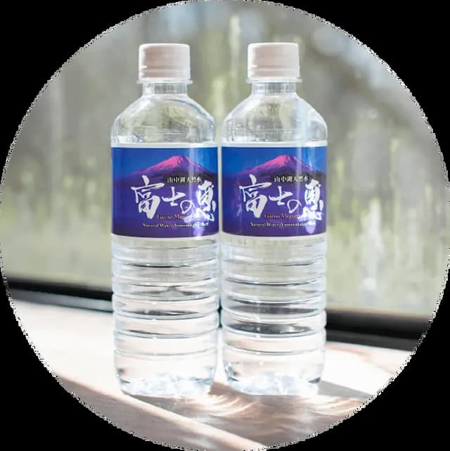 The Hotel Fujiyama 山中湖｜近平野之浜/提供接駁車-本館 豪華雙床房【不挑房】-6