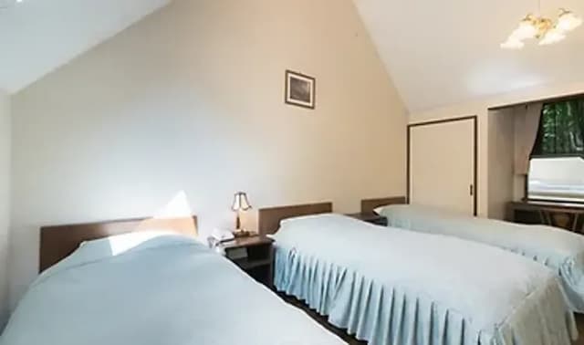 Karuizawa Loghotel Shiozawa no Mori-Semi Western-Style Room-4