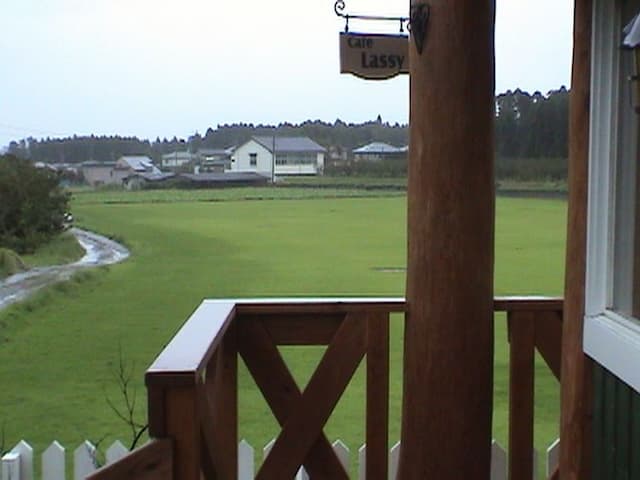 It is a beautiful landscape with greenery spread all over.