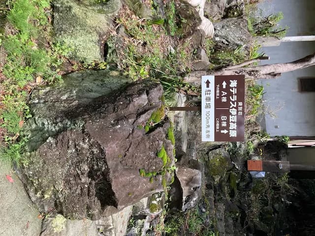 海テラス伊豆高原-すべてのペットと宿泊できる海テラス伊豆高原Ａ 海テラス伊豆高原Ａ-3