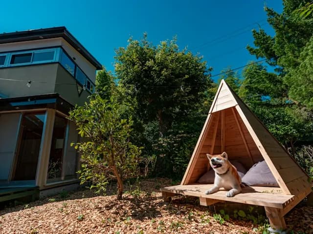 ・【ドッグラン】たくさん遊んだ後は小屋で休憩。ワンちゃんも思いっきり楽しめる空間です