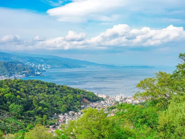 ・【眺望】木々の向こうには網代や熱海の街並みと熱海の海が広がります