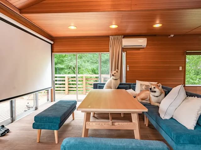 ・【スクリーン】ワンちゃんと一緒にゆったりお寛ぎください