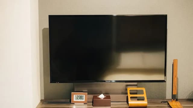 Hotel Kanraku Fujisan Gotemba-デラックスシングル-5