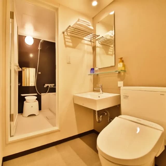 Bathroom (standard twin)