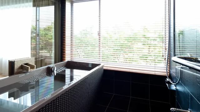 Annex deluxe room with indoor bath