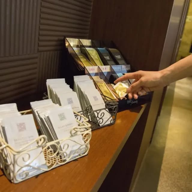 靜鐵商旅 Prezio 靜岡站北｜靜岡站步行3分/腳踏車租借-單人房【不挑房】-5